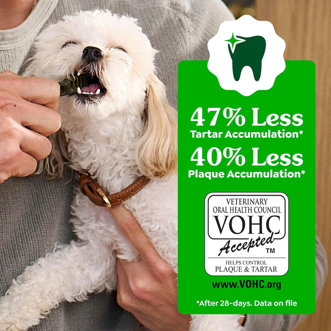 greenies veterinarian-recommended adult natural dental dog treats, regular size, 36 oz pack, 36 count, original flavor