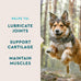 VetIQ Glucosamine Hip & Joint Supplement for Dogs, 180 Soft Chews, Chicken Flavored Chewables for Large & Small Breeds