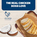 Blue Buffalo BeneBars Skin & Coat Support Dog Treats with Omega 3 & 6 Fatty Acids