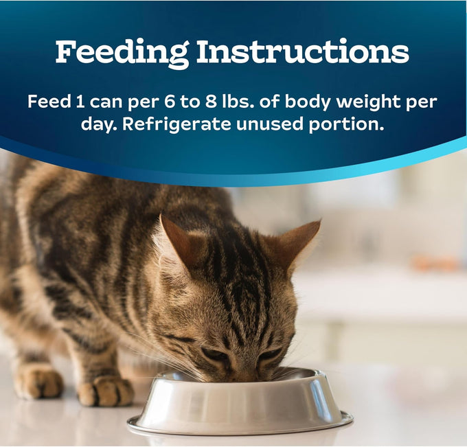 Blue Buffalo Beef Entrée Wet Cat Food, 24 Count, 5.5-oz Cans, Made with Natural Ingredients