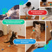 Bouncy Tails 5 Pack Natural Feather Bouncy Ball for Indoor Cats and Kittens Play Toy Set