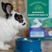 Timothy hay-based Oxbow Forage Wise Adult Rabbit Food, 4 lb bag, complete nutrition, made in USA
