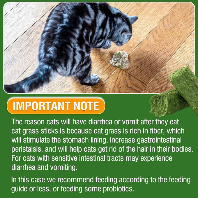 30g cat grass sticks for cats, delicious edible chew toy treats for teeth cleaning and hairball removal