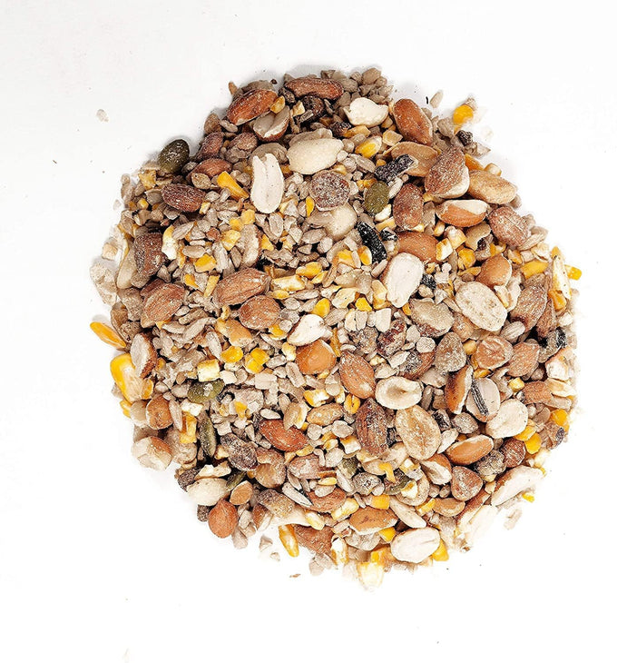 Wagner's gourmet 2-pack wild bird food, 5-pound all-natural mix, attracts various songbirds year-round