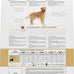 Royal Canin Golden Retriever Adult Dry Dog Food, 30 lb