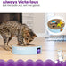 Catstages Scratch N' Hunt Interactive Cat Puzzle Toy for Indoor Cats with Claw Trimming Scratcher and 3 Hunting Balls