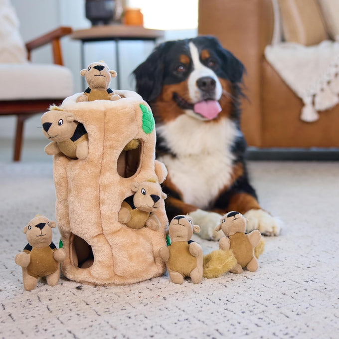 Outward Hound Hide-A-Squirrel 2-in-1 Plush Puzzle Dog Toy with 6 Squeaky Removable Squirrels, X-Large