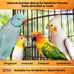 Cockatiels and Green Cheek Conures love 2lb All Natural Garden Blend Bird Food, no added preservatives or sweeteners