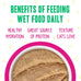 Weruva B.F.F. Play Chicken, Duck & Turkey Paté Lovers Wet Cat Food, 5.5oz Can (Pack of 8)