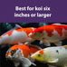 Mazuri Koi Platinum Nuggets 3.5 lbs koi food for fish, complete nutrition with vitamins and minerals