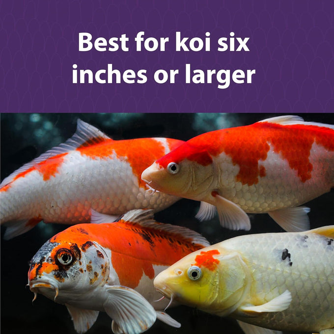 Mazuri Koi Platinum Nuggets 3.5 lbs koi food for fish, complete nutrition with vitamins and minerals
