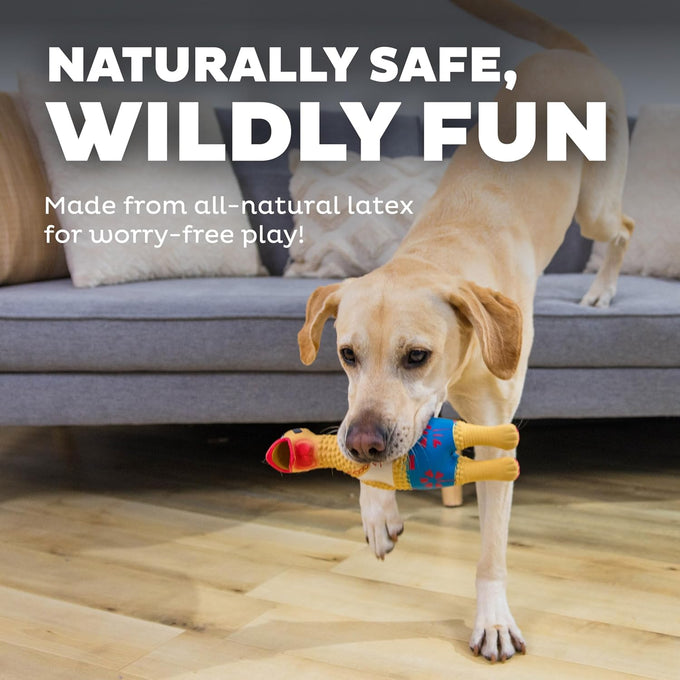 Outward Hound Charming Pet squawkers Earl latex rubber chicken dog toy funny large size