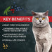 Fussie Cat Market Fresh Chicken & Turkey Recipe, Dry Cat Food, 10lb Bag