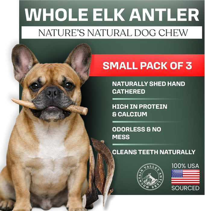 Mountain Valley elk antlers for dogs - 100% natural & organic chews, no odor, no mess, long lasting, grade A, large size