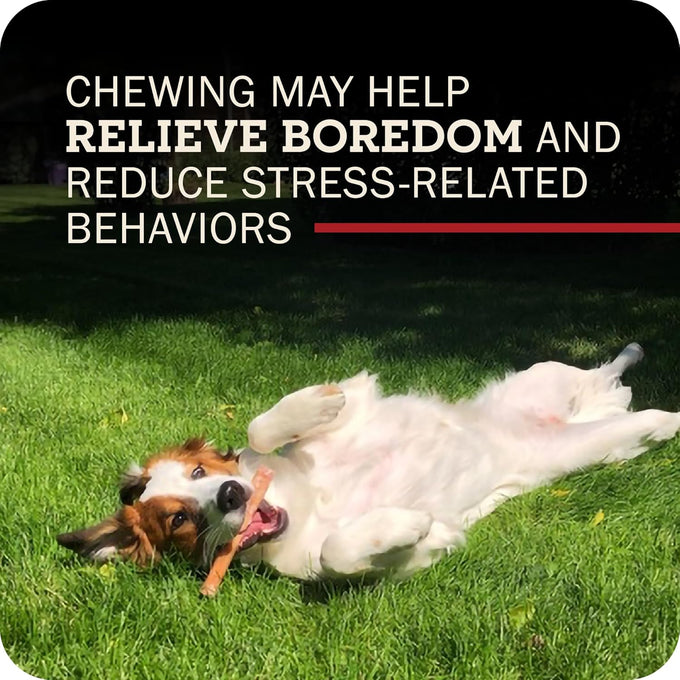 Redbarn Pet Products 5"-8" Braided Bully Sticks for Small & Large Dogs - Single Ingredient Low Odor Rawhide Free - 8 oz Bag