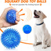Yunsailing 9 piece dog squeaky toys set, TPR rubber pet chew toys for small medium size dogs teething and training