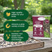 Happy Wings 5lb No Grow Songbird Bird Seed Mix with Sunflower, Safflower & Peanuts for Outside Feeders