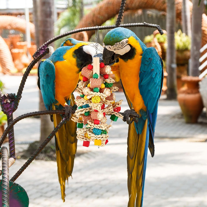 soulchen 4 pc extra large bird parrot toy set wooden chewing toys for large macaws african grey amazon parrots