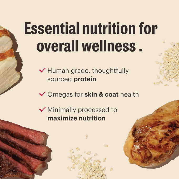 The Honest Kitchen Human Grade Essential Clusters Dry Dog Food