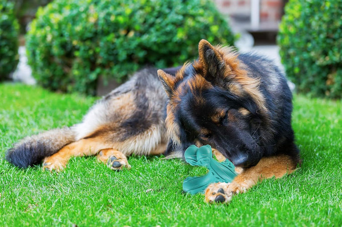 Blue Indestructible Natural Rubber Bone Toy for Large Breed Aggressive Chewers Dogs, Durable and Easy Cleaning