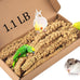 katumo 1.1lb natural sun-dried bird millet parrot food for parakeet budgie cockatiel finches lovebird conure parrots hamster