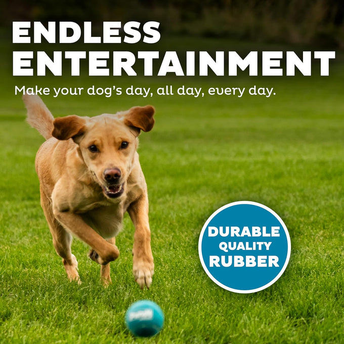 Outward Hound Squeaker Ballz, medium tennis balls, 2.5", 4-pack for dogs under 50 lbs, interactive dog toys