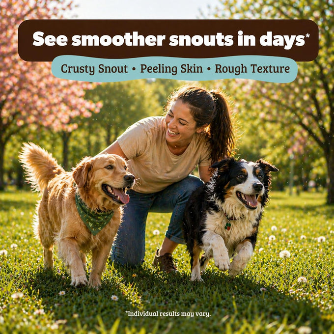 Natural Dog Company Snout Soother Dog Nose Balm for dry, crusty noses with coconut oil & shea butter, lick safe for all breeds - 1 oz tin