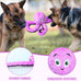 BuyPow Octopus Purple Dog Squeaky Toy - Large & Small Dog Toys for Puppy Teething, Soft Plush, Waterproof Squeaker, Fun Animal Toy