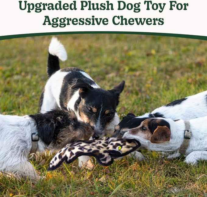 sharlovy no stuffing crinkle squeaky dog toys for aggressive chewers durable plush for small medium large breed