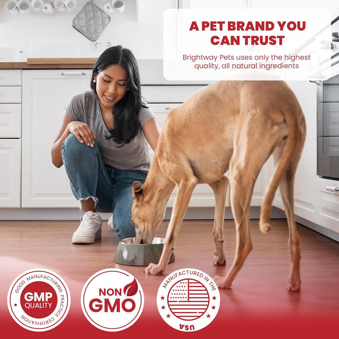 Grass fed Collagen for Dogs supports healthy skin, coat, hip, joint care and cartilage support for dogs with 100% all natural collagen