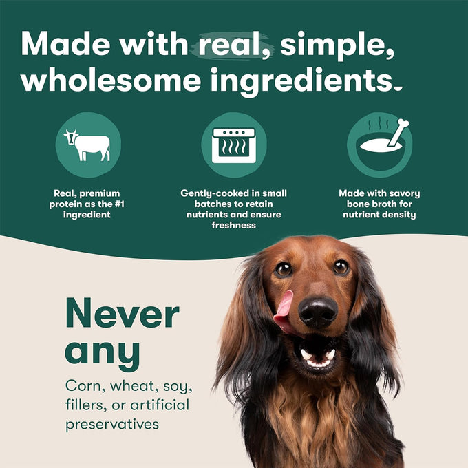 Jinx Salmon Grain Free Wet Dog Food Toppers, 9oz, 6 Pack