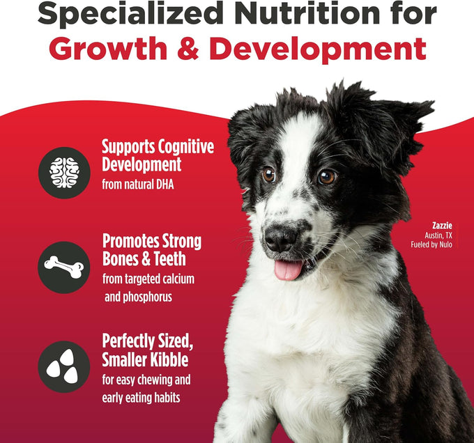 Nulo Freestyle Dry Puppy Food - Salmon & Peas, Premium Grain Free Dog Food for Puppies, Natural, High Protein Kibble with DHA, Omega 3 & Probiotics, for Small and Medium Breeds, 26lb Bag
