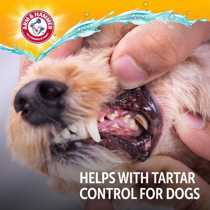 Arm & Hammer Complete Care Dog Dental Water Additive with Baking Soda and Calcium for Daily Oral Health and Fresh Breath, 16 Fl Oz