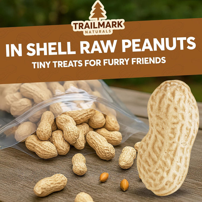 Raw Peanuts in Shell, 2 Pack, 5 Lb Bags, Grown in USA, Squirrel Food, Wild Bird Seed