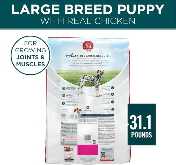 Purina ONE Plus Puppy Dry Dog Food, Chicken, 31.1 lb