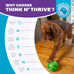 Outward Hound Orbee-Tuff Mazee Interactive Dog Puzzle Toy in Green, 4.7-Inch, Treat Dispensing Slow Feeder Ball