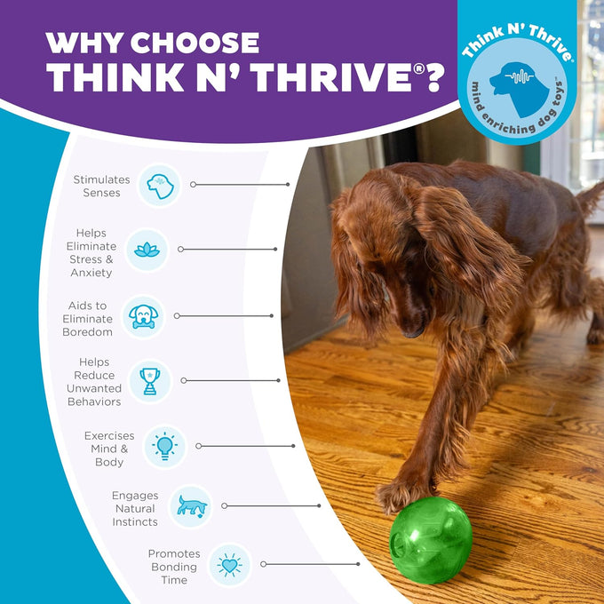 Outward Hound Orbee-Tuff Mazee Interactive Dog Puzzle Toy in Green, 4.7-Inch, Treat Dispensing Slow Feeder Ball