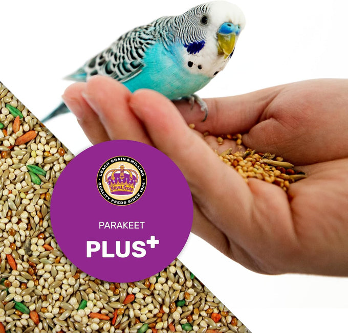 leach grain & milling co. parakeet food plus, 5lbs premium parakeet bird food with vitamins & minerals, supports energy & growth