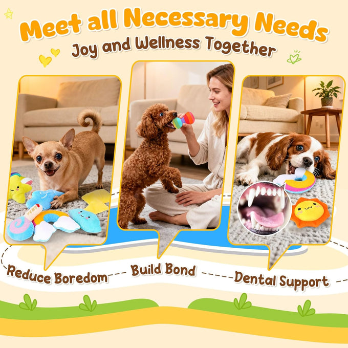 Kipritii Whimsical Squeaky Dog Toys for Small Dogs and Puppies - Plush Toys Pack with 9 Pcs Stuffed Puppy Chew Toys