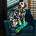 Outward Hound Durablez X-Large Blue Snake Plush Dog Toy, No Stuffing, 6 Jumbo Squeakers, 40"