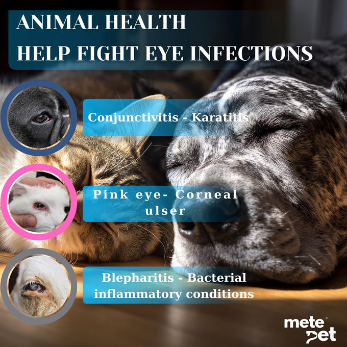 Vetromycin Plus pet eye cream for dogs, cats, cattle, sheep, horses, and birds in 0.35 oz/10 gr tube