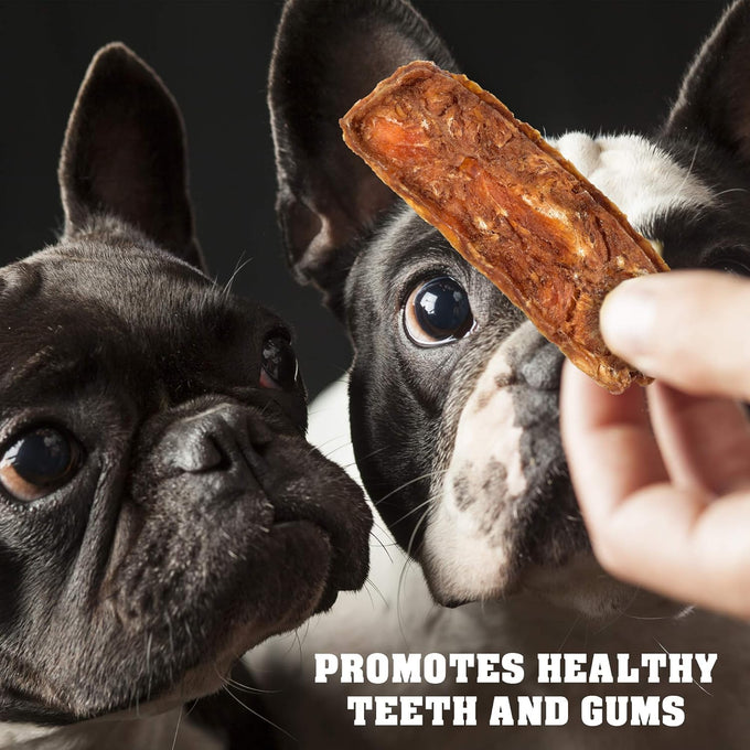 Dog Treats Chicken Jerky 1.5 lb - High Protein Chews for Large, Medium & Small Breeds