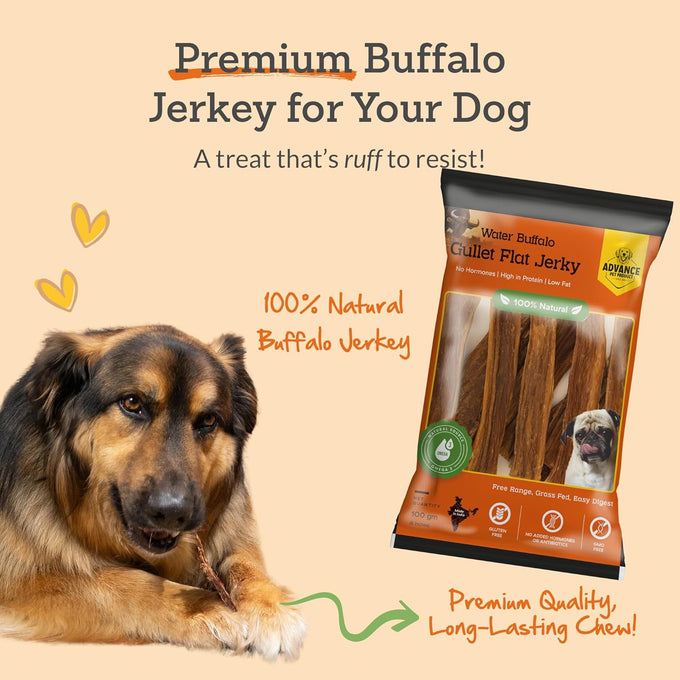 Advance Pet Products Premium Buffalo Gullet Flat Jerky Dog Treats, Natural & Gluten-Free Chews for Large, Medium & Small Breed Dogs, 30 Count, 1lb