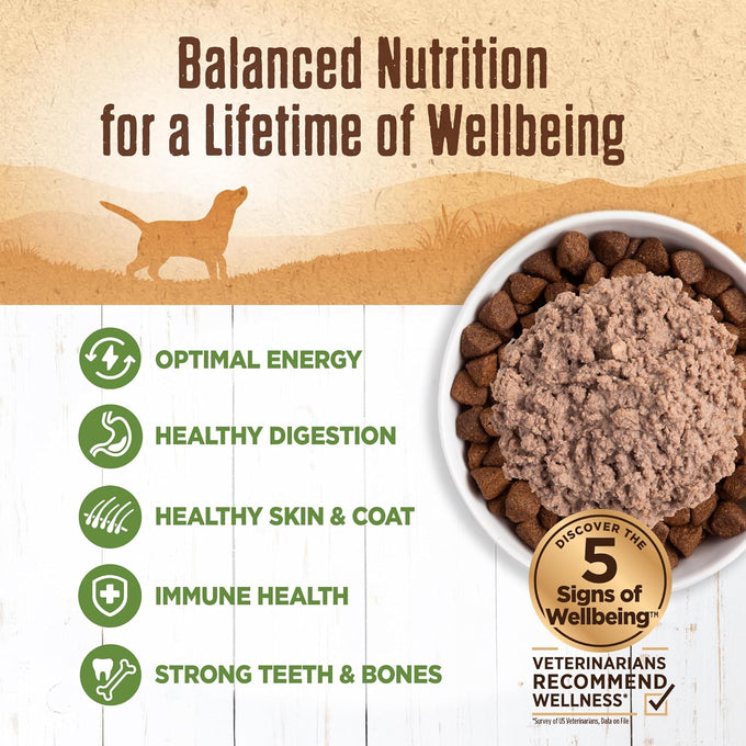 Wellness 95% Lamb Adult Canned Wet Dog Food, Grain Free