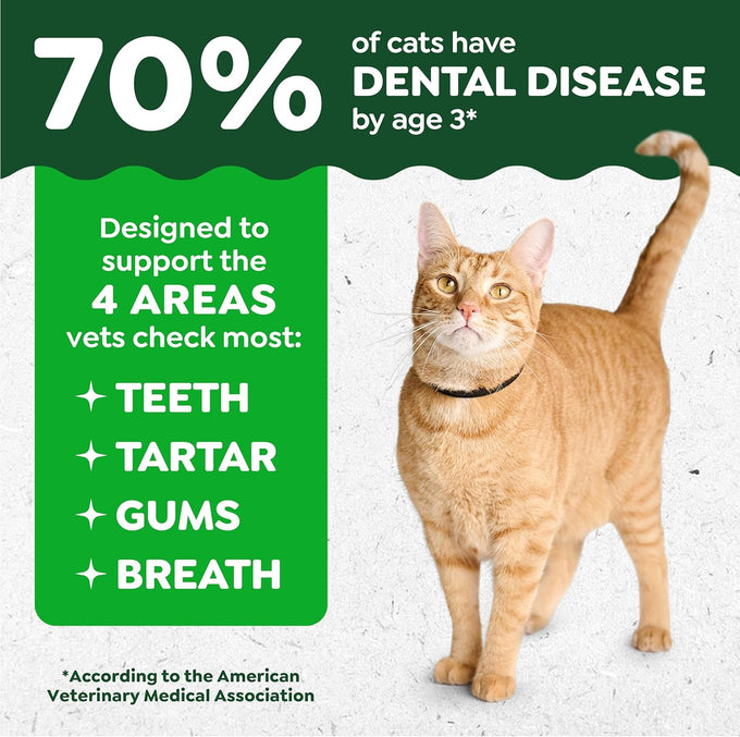 Feline Greenies cat dental treats, adult natural, 21 oz tub, veterinarian-recommended, catnip flavor