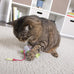 SmartyKat multi color 3 count bouncy mouse dangler plush cat toys interactive play stimulation