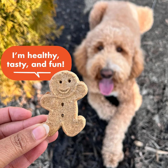 buddy biscuits grain free crunchy treats with peanut butter 14 oz adult dog