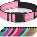 Joytale Reflective Dog Collar with Soft Neoprene Padded, Metal D-Ring, Adjustable for Large Dogs in Teal