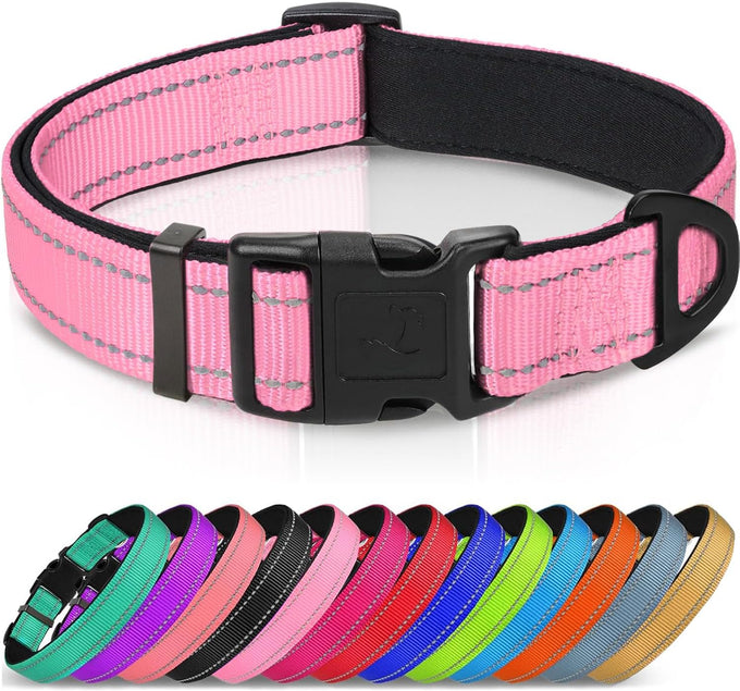 Joytale Reflective Dog Collar with Soft Neoprene Padded, Metal D-Ring, Adjustable for Large Dogs in Teal