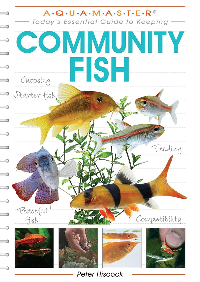 CompanionHouse Books Choosing Starter Freshwater Fish Aquarium Setup, Feeding, Breeding, and More Paperback 2007
